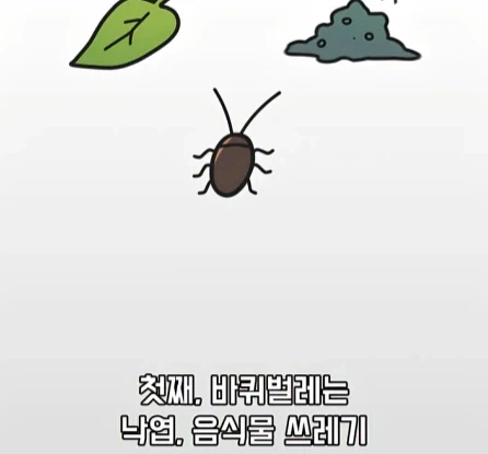 바퀴벌레가 멸종하면 생기는 일.jpg_4.webp