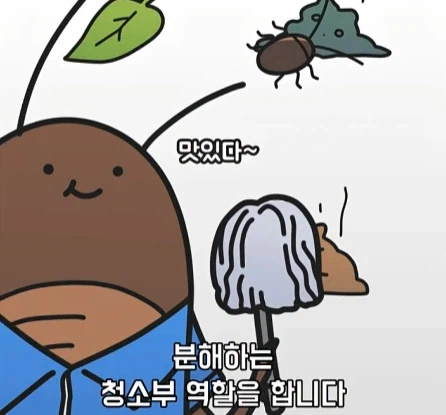 바퀴벌레가 멸종하면 생기는 일.jpg_7.webp