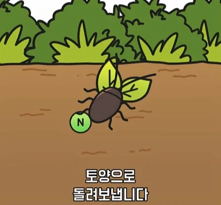 바퀴벌레가 멸종하면 생기는 일.jpg_13.webp