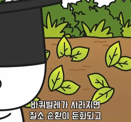 바퀴벌레가 멸종하면 생기는 일.jpg_14.webp