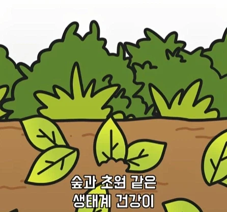 바퀴벌레가 멸종하면 생기는 일.jpg_15.webp