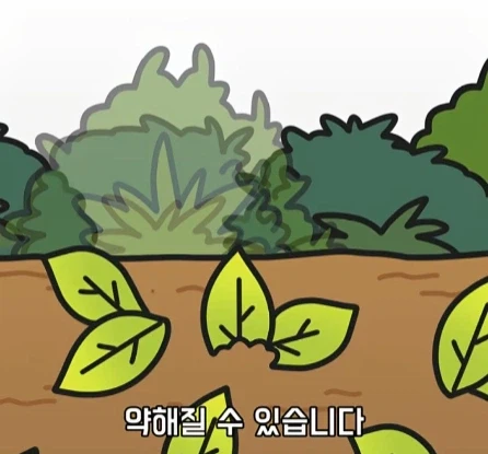 바퀴벌레가 멸종하면 생기는 일.jpg_16.webp