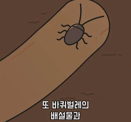바퀴벌레가 멸종하면 생기는 일.jpg_17.webp