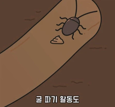 바퀴벌레가 멸종하면 생기는 일.jpg_18.webp
