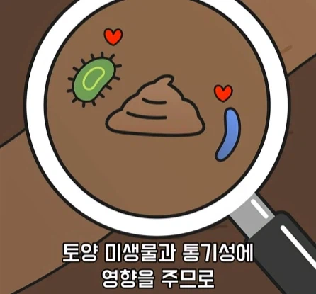바퀴벌레가 멸종하면 생기는 일.jpg_19.webp