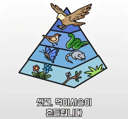 바퀴벌레가 멸종하면 생기는 일.jpg_21.webp