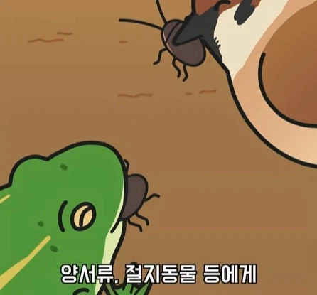 바퀴벌레가 멸종하면 생기는 일.jpg_23.webp