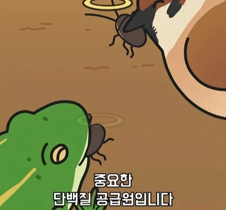 바퀴벌레가 멸종하면 생기는 일.jpg_24.webp