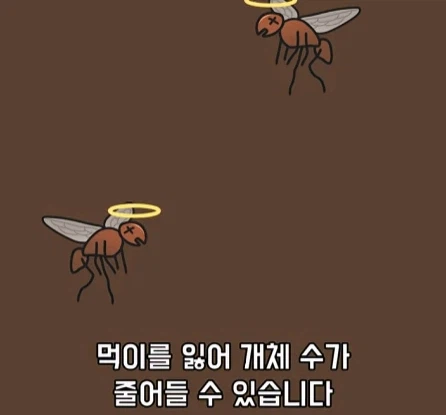 바퀴벌레가 멸종하면 생기는 일.jpg_27.webp