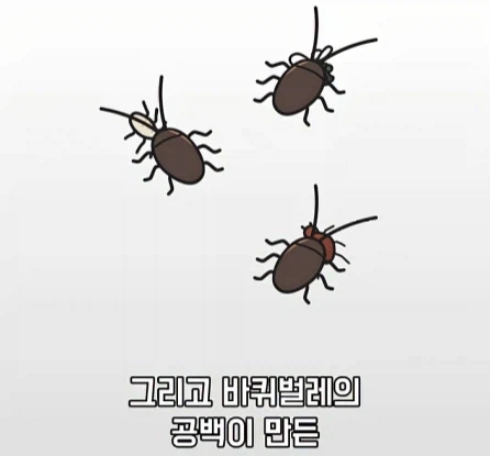 바퀴벌레가 멸종하면 생기는 일.jpg_32.webp