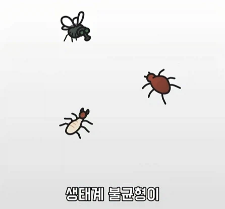 바퀴벌레가 멸종하면 생기는 일.jpg_33.webp