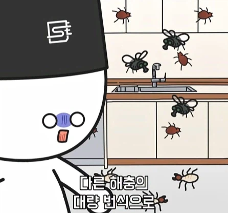바퀴벌레가 멸종하면 생기는 일.jpg_35.webp