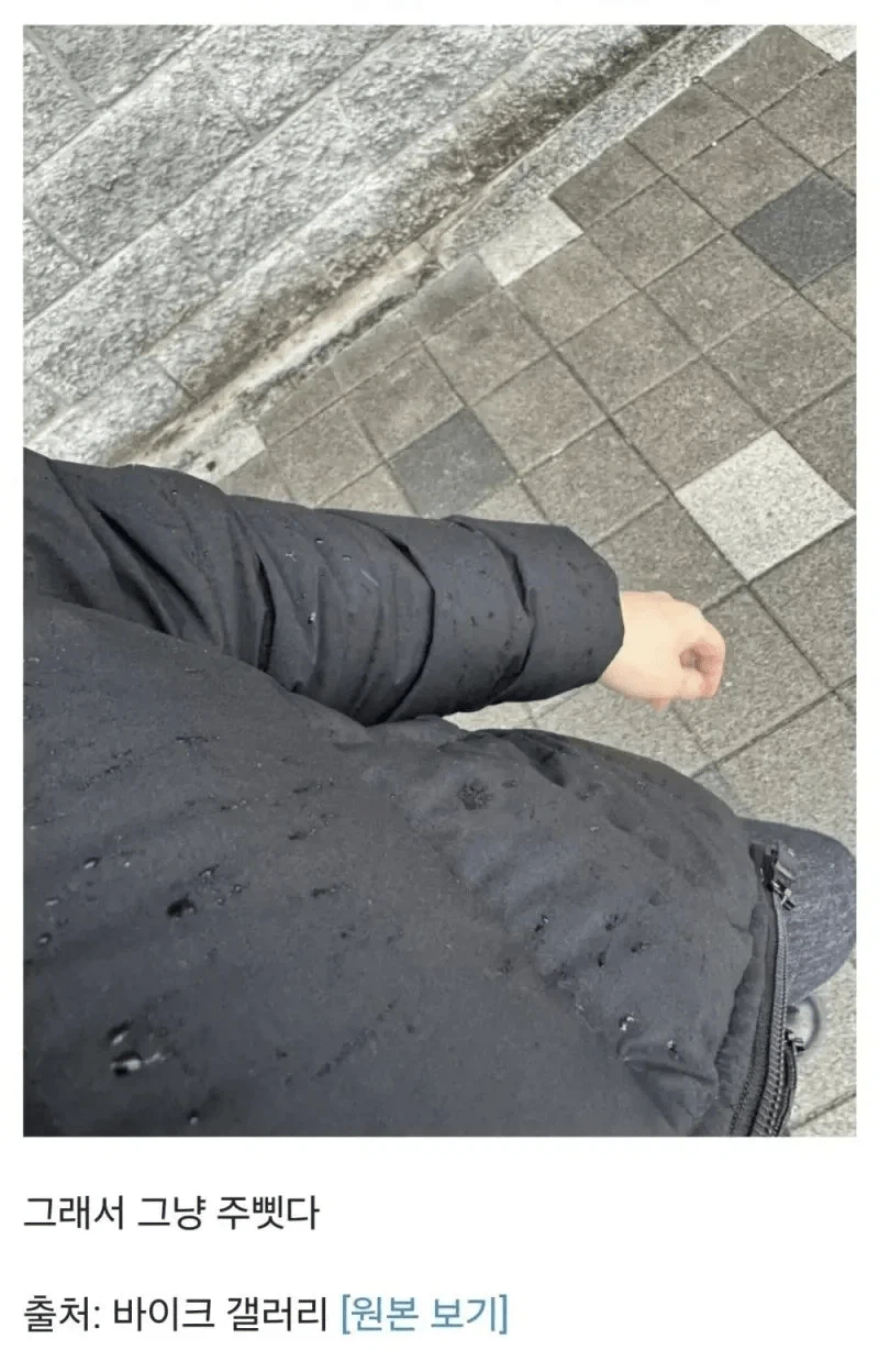 비 맞는 할머니를 본 바이크갤러.jpg_1.webp