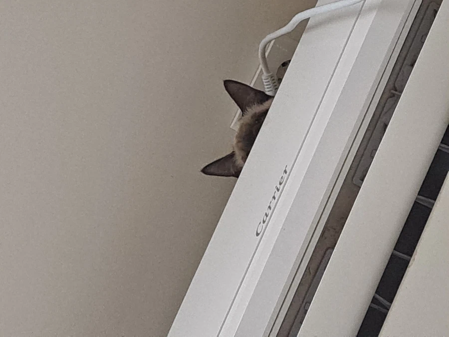 예전에 살던 집 에어컨에는 신박한 기능이 있었다!!!_1.webp