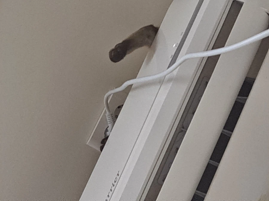 예전에 살던 집 에어컨에는 신박한 기능이 있었다!!!_2.webp