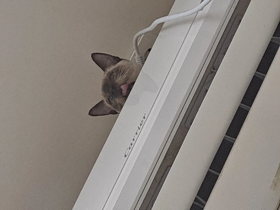 예전에 살던 집 에어컨에는 신박한 기능이 있었다!!!_3.webp