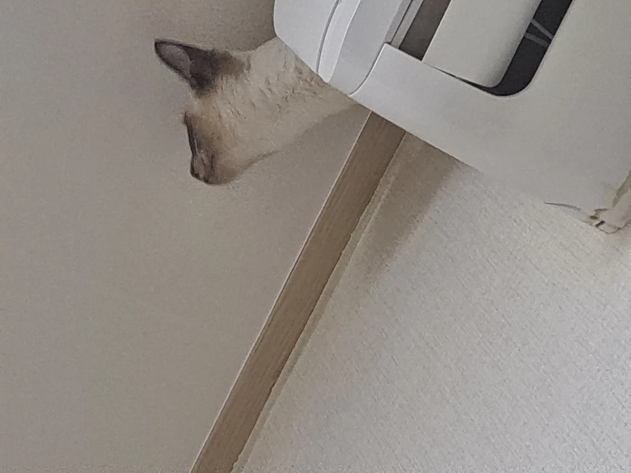 예전에 살던 집 에어컨에는 신박한 기능이 있었다!!!_5.webp