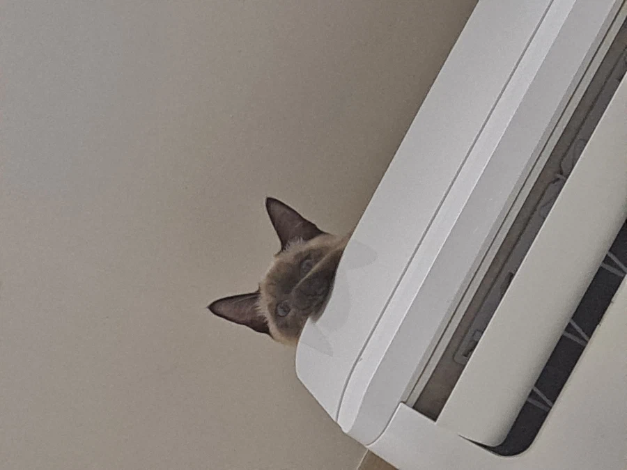 예전에 살던 집 에어컨에는 신박한 기능이 있었다!!!_7.webp