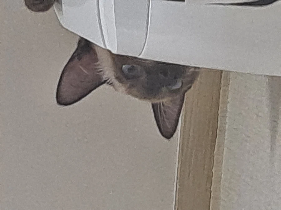 예전에 살던 집 에어컨에는 신박한 기능이 있었다!!!_8.webp