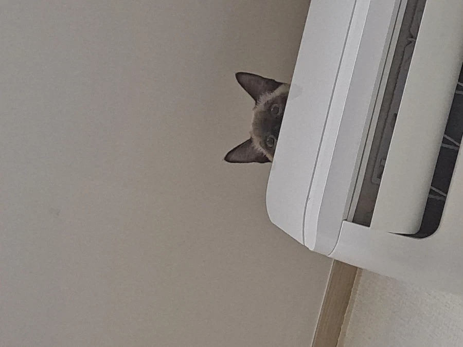 예전에 살던 집 에어컨에는 신박한 기능이 있었다!!!_9.webp