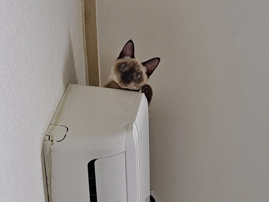 예전에 살던 집 에어컨에는 신박한 기능이 있었다!!!_10.webp