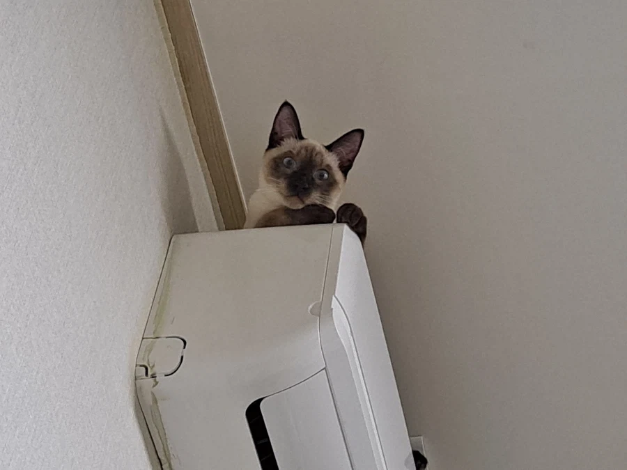 예전에 살던 집 에어컨에는 신박한 기능이 있었다!!!_13.webp