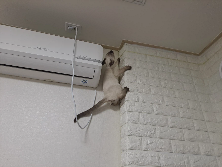 예전에 살던 집 에어컨에는 신박한 기능이 있었다!!!_14.webp