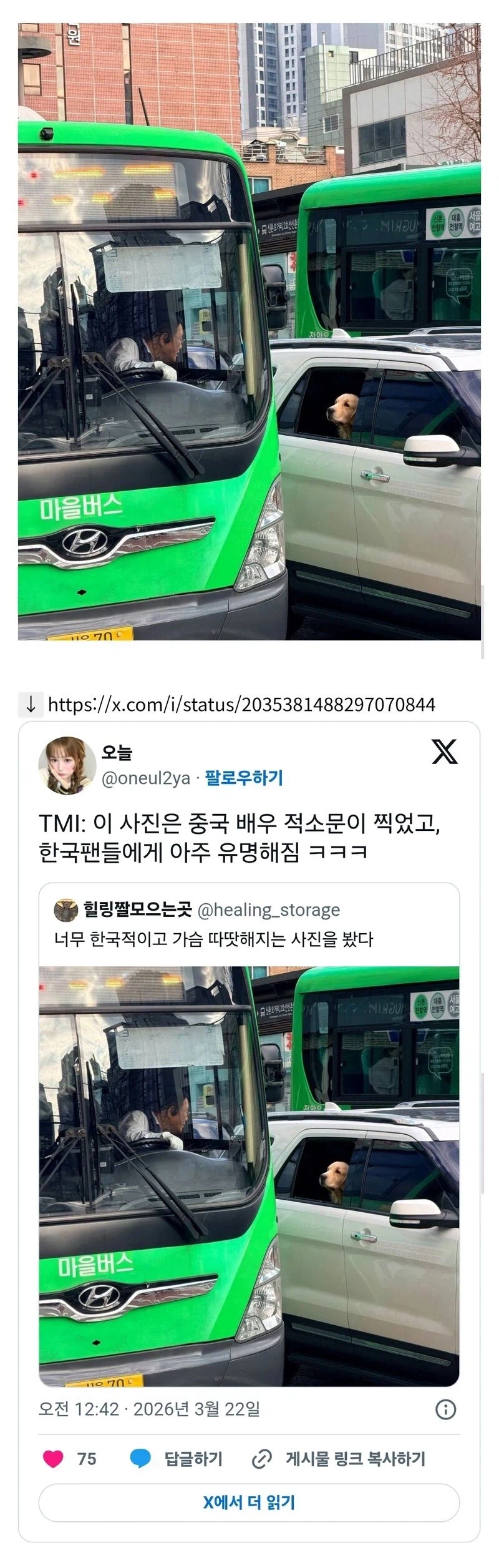 중국배우가 우연히 찍은 한국 사진.jpg_1.webp