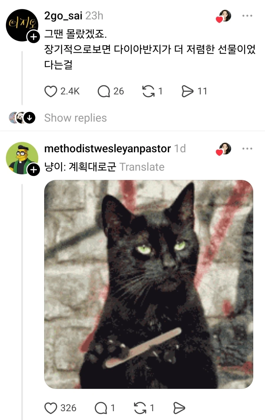 다이아 살 돈이 없어서 고양이로 프로포즈_2.webp