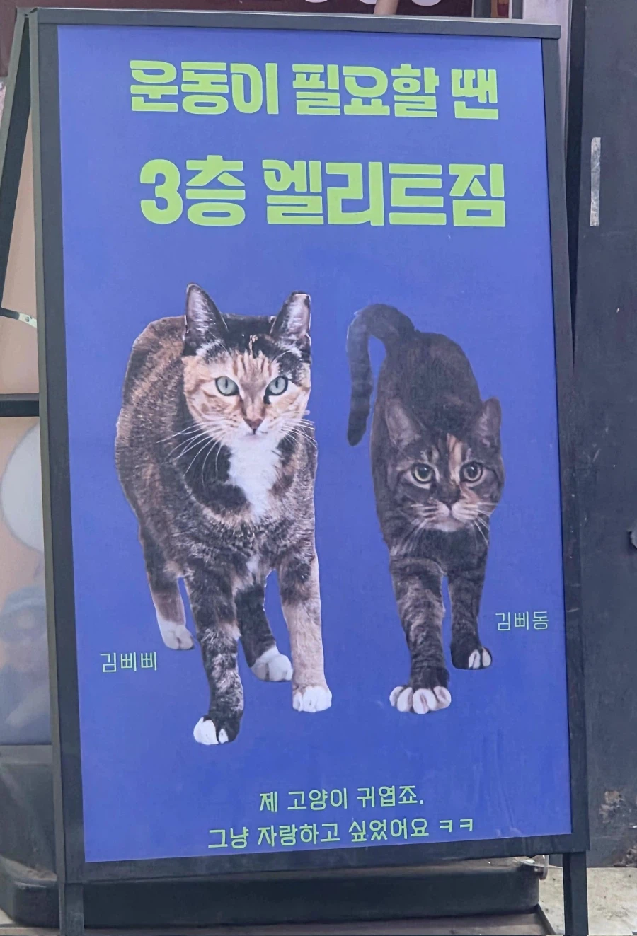 ??? : 우리 헬스장으로 오세요_1.webp