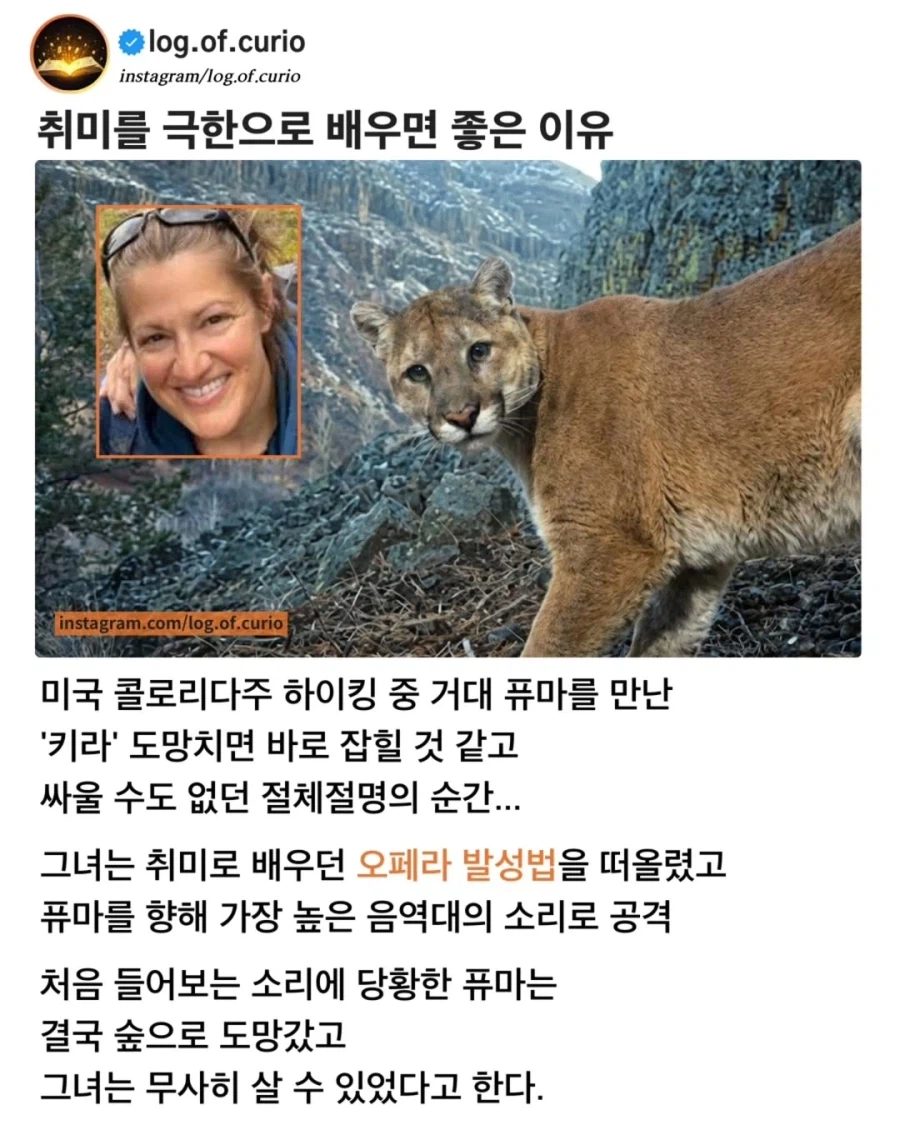 취미를 극한으로 배우면 좋은 이유.jpg_1.webp