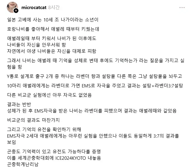 이그노벨상은 따놓은 당상인 일본 초등학생 곤충학자_2.webp