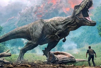 진짜 영화때문에 흉폭하다고 오해받은 대표적 동물들.jpg_1.webp