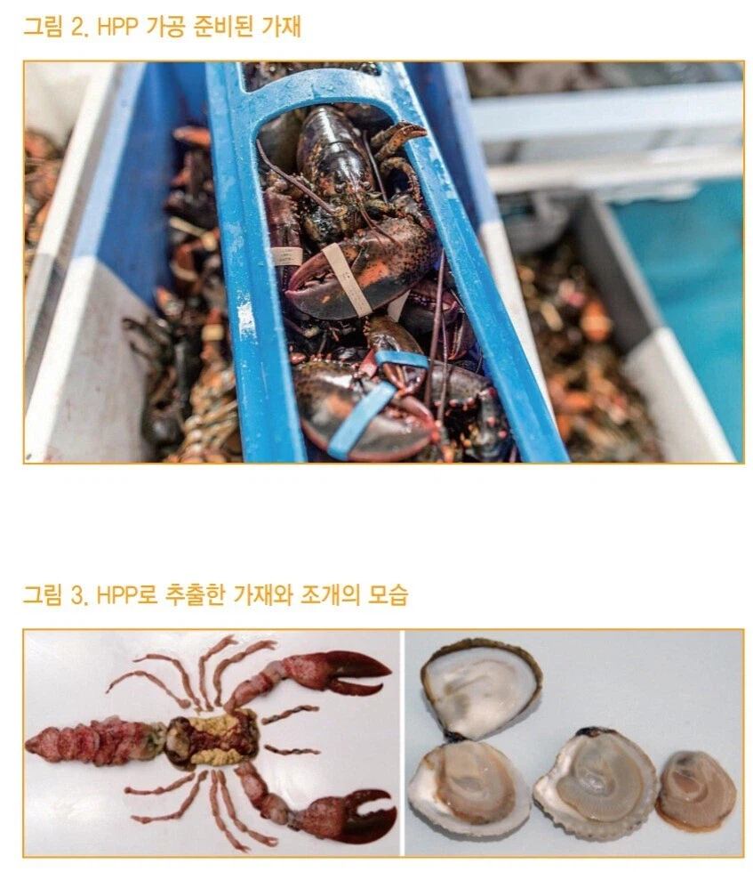 초고압 살균기술이 가진 의외의 부작용_2.webp