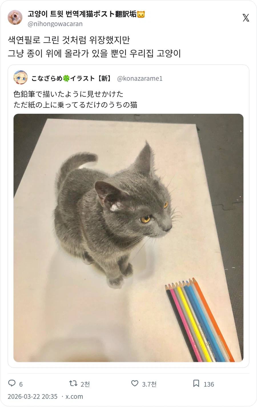 고양이 그림_1.webp