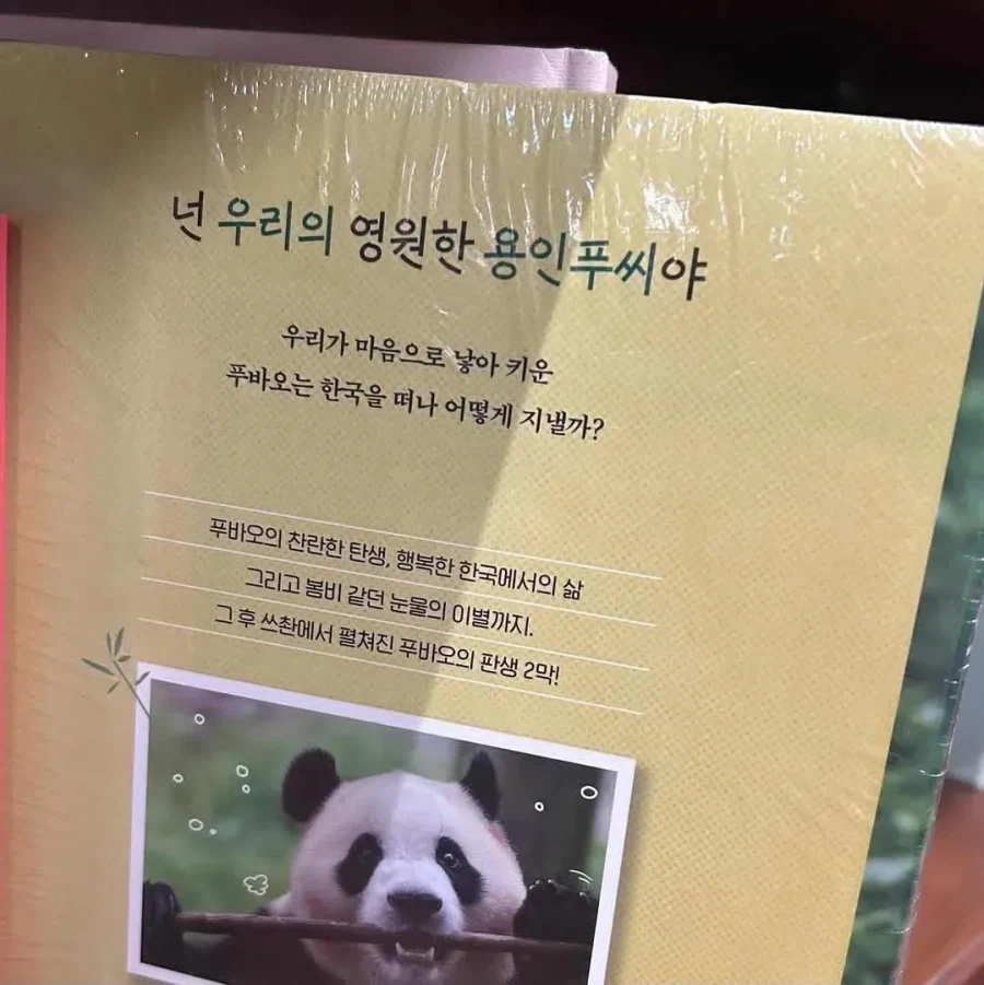 드래고니안 푸씨_1.webp