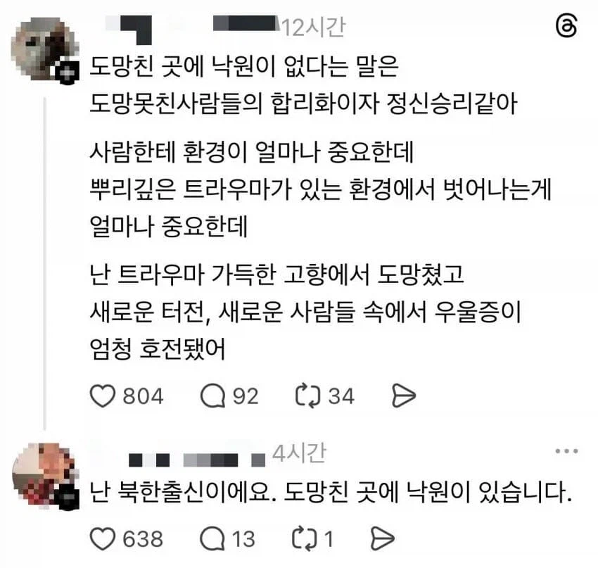 도망친 곳에서 낙원을 찾은 사람.jpg_1.webp