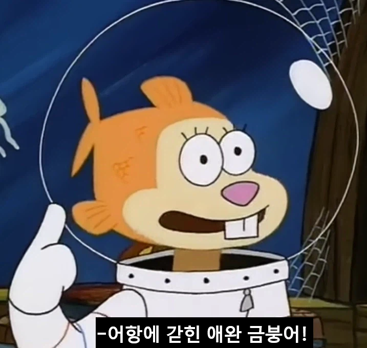 다람이를 경멸하는 징징이.jpg_3.webp