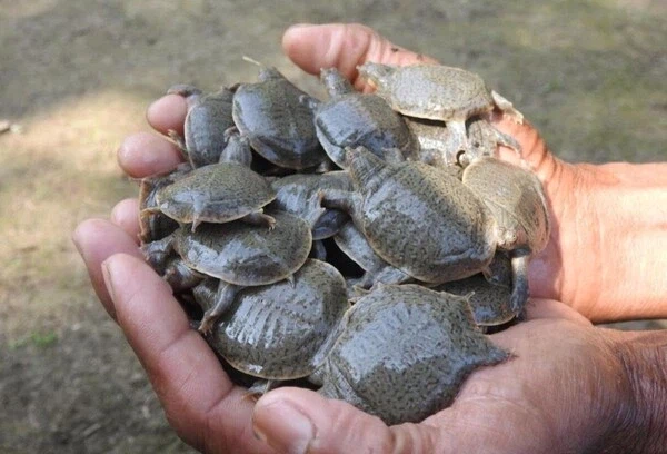 어릴 땐 이해못한 속담.jara_2.webp