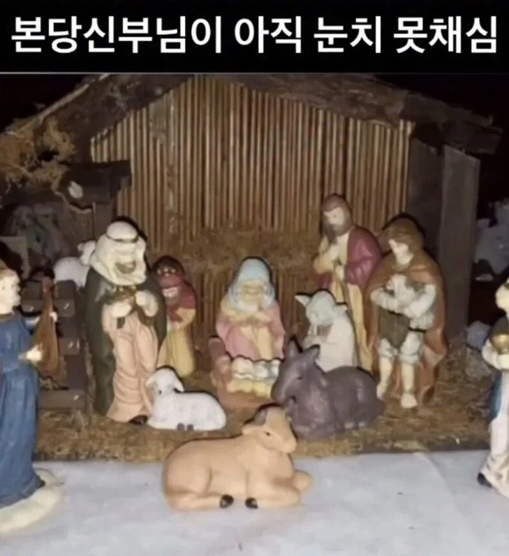 뭐가 문제인지 잘 모르는 짤_1.webp