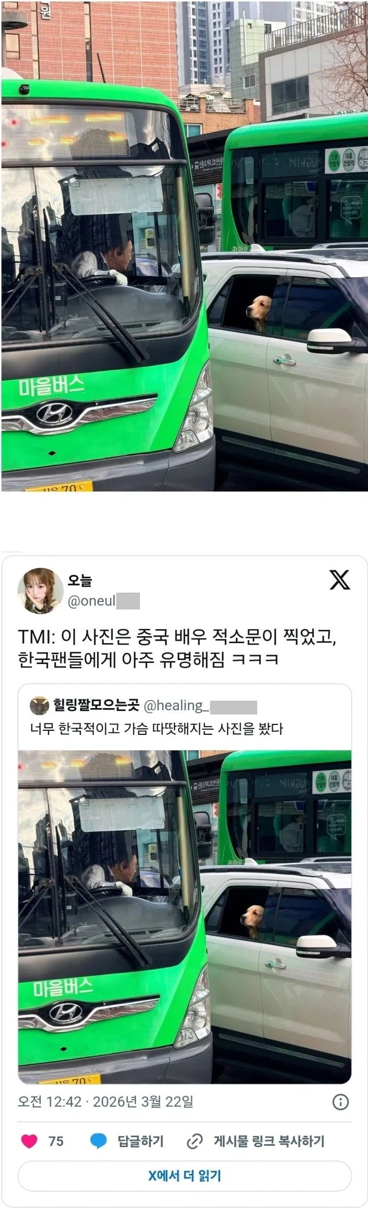 중국 배우가 우연히 찍었다는 한국의 어떤 광경.jpg_1.webp