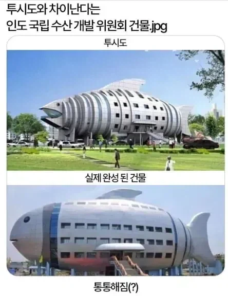 ???: 사진하고 많이 다르시네요_1.webp