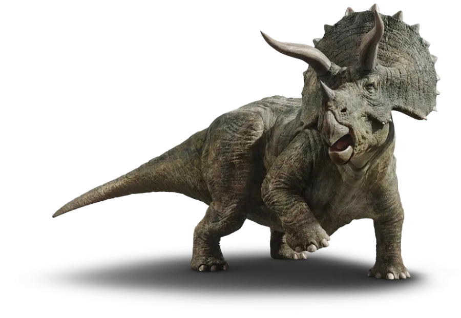 의지가 있는 톱 에게 나무를 자르라고 시키는 명령어는?_1.webp