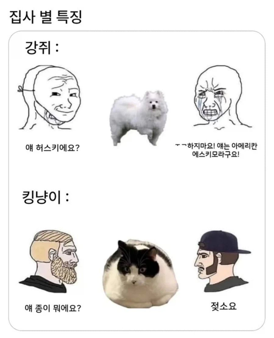 집사 별 특징_1.webp