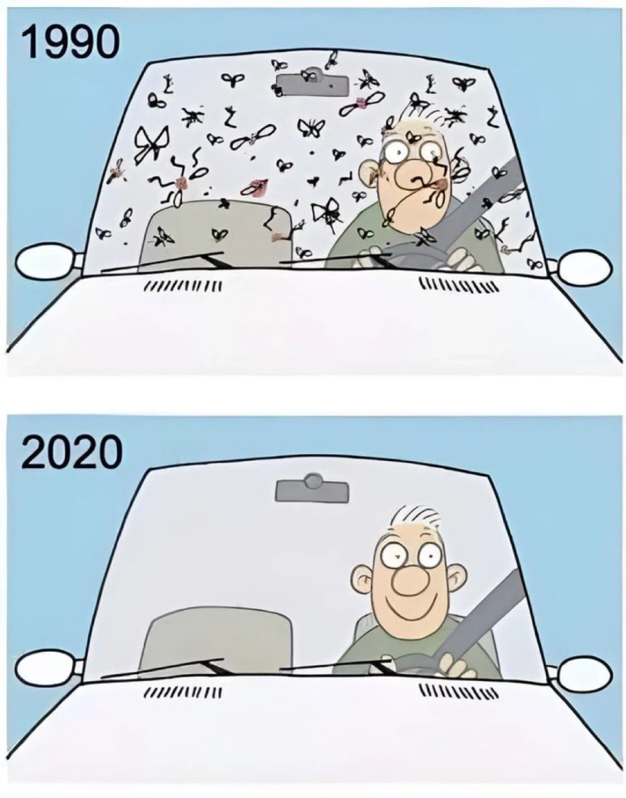 1990년과 2020년의 운전할 때 차이점_1.webp