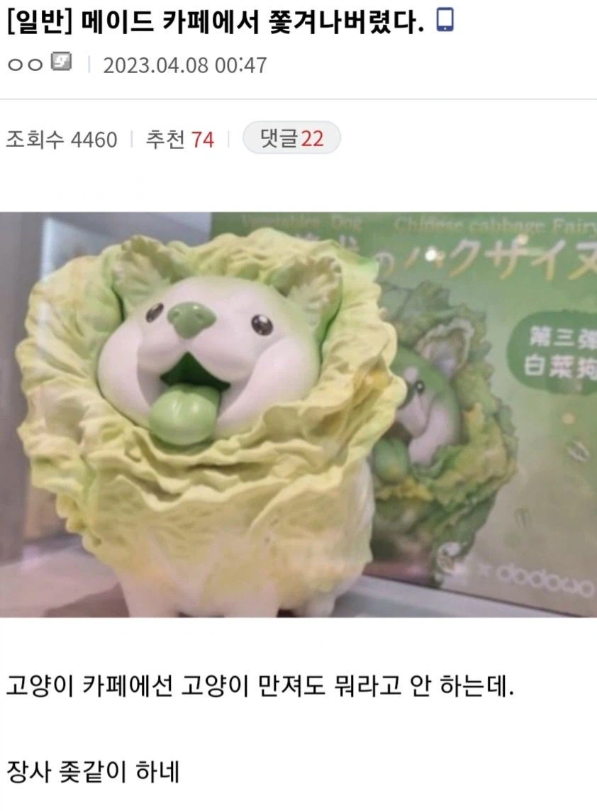 메이드 카페에서 쫒겨난 디씨인_1.webp