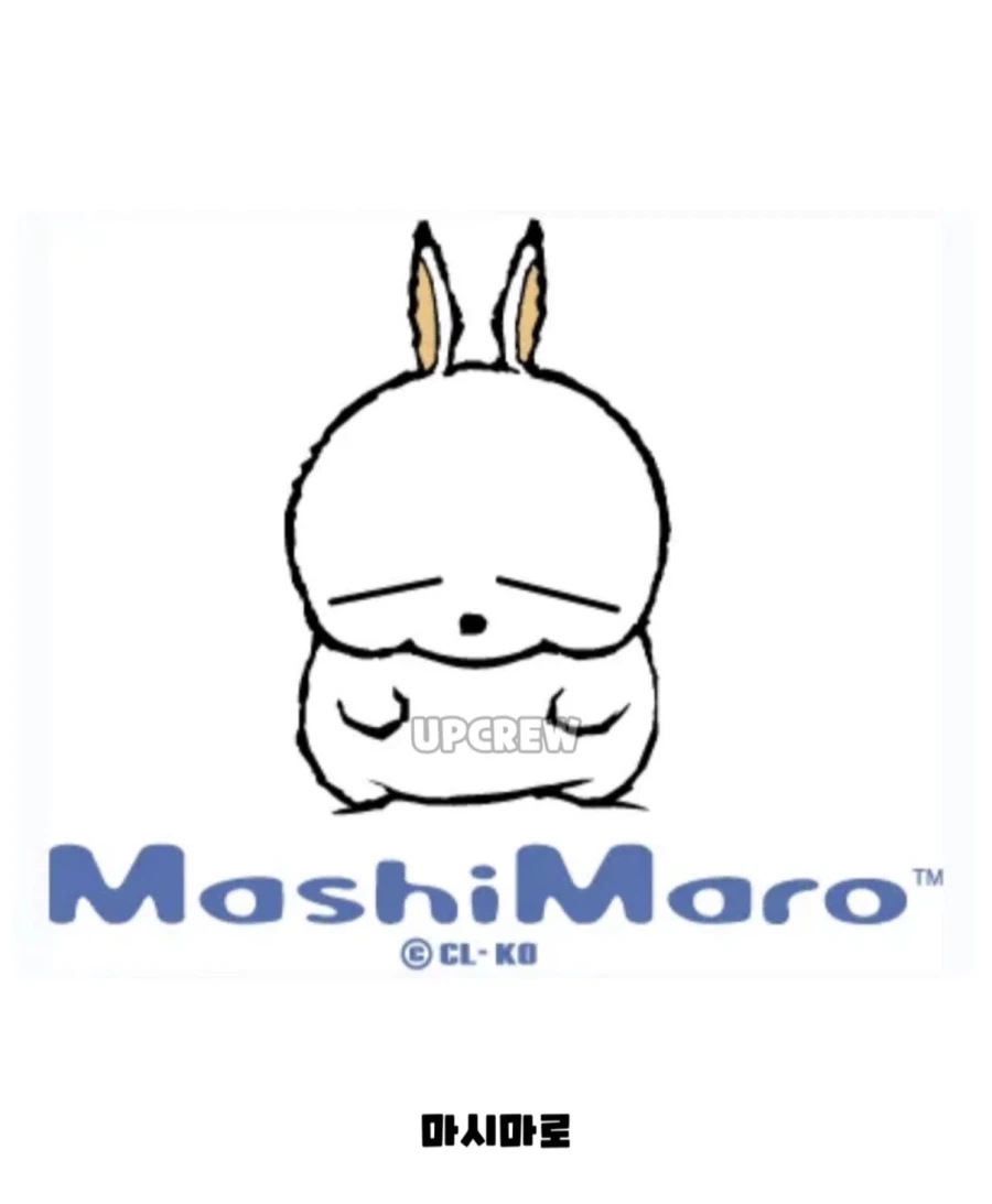 어머님 세대에 유행했다는 캐릭터 모음.jpg_3.webp