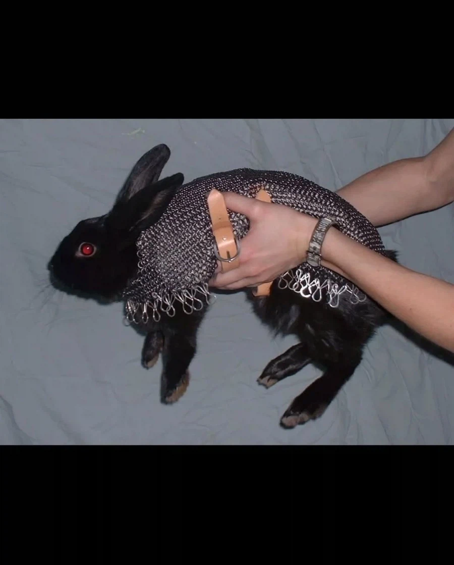 21세기초 기묘한 중세풍짤 모음_6.webp