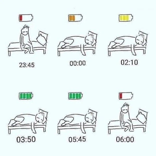 직장인들의 체력 회복 과정.jpg_1.webp