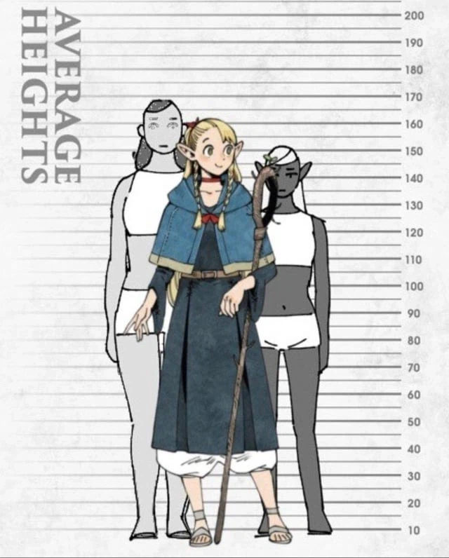 던전밥) 라이오스 파티의 신장과 각 종족의 평균 신장_4.webp